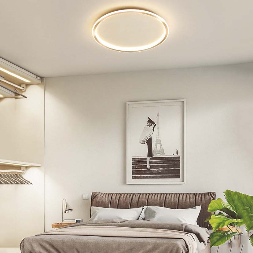 Bedroom Ceiling Light